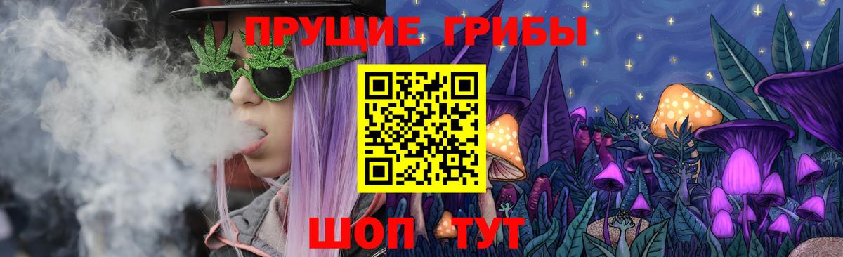 Псилоцибиновые грибы MAGIC MUSHROOMS  где купить наркотик  Красногорск  Галлюциногенные грибы Psilocybe  Вход с VPN 